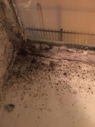 Mold may be causing that smelly window originally published july 31, 2009 at 3:50 pm updated july 31, 2009 at 8:01 pm fixit: Removal Help Black Mold Around Window Mycology