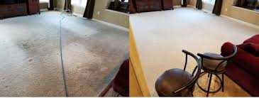 carpet cleaning in severna park md