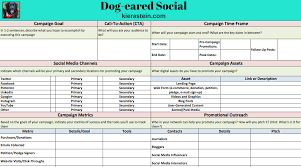 Social Media Campaign Planning Template Download Your Social