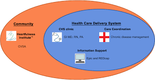 an integrative healthcare model with