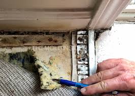 how to remove black mold growth under