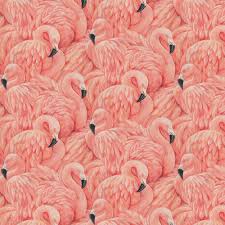 Flamingos by Albany - Pink - Wallpaper ...