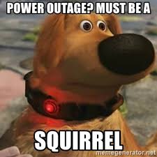 Bug report what happened qbcz11lm doesn't have power outage memory option but zncz02lm has. Power Outage Must Be A Squirrel Up Dog Meme Generator