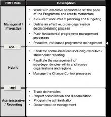 define a programme management office