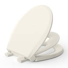 Toilet Seat With Toddler Seat Built In