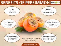 benefits of persimmon nikki kuban minton