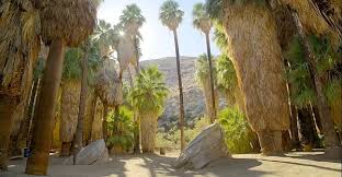 indian canyons palm springs