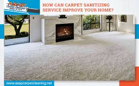 advanes of carpet sanitizing service