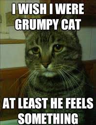 Best of &quot;Depressed Cat&quot; Meme (14 Pics) | Daily Dawdle via Relatably.com