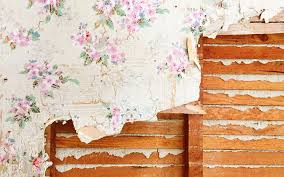 2024 wallpaper removal cost cost per