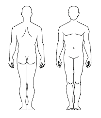 Human Body Outline Drawing At Paintingvalley Com Explore