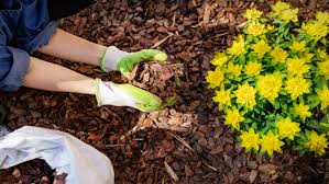 the benefits of mulch for your garden