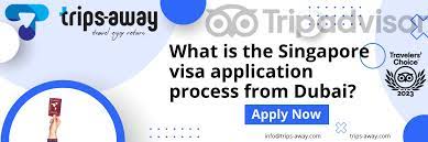 singapore visa application process