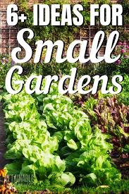 small garden ideas get the most bang