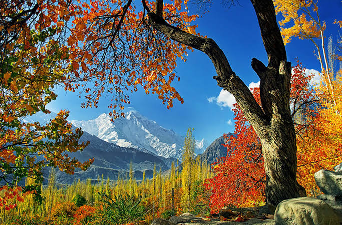 Autumn Tour Hunza & Fairy Meadows 12 Days | Book Now | Hunza ...