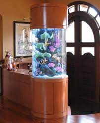Decorative fishtanks | Aquarium decorations, Aquarium design, Beautiful  interior design gambar png