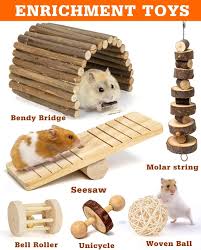 sofier hamster toys guinea pig toys