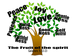 Image result for the fruits of the spirit