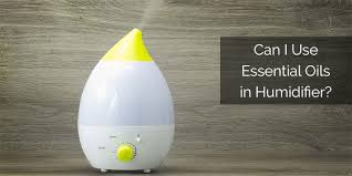 can i use essential oils in humidifier