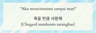 Bedanya adalah dalam penggunaannya, kata saranghae saat dalam kondisi yang santai, sedangan saranghaeyo digunakan dalam kondisi yang formal. 9 Kata Kata Romantis Untuk Pacar Dalam Bahasa Korea