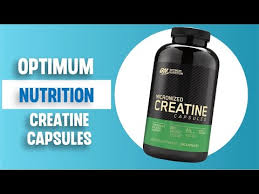 optimum nutrition micronized creatine