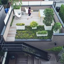 how to start a sydney roof top garden