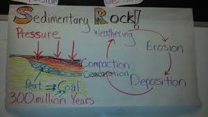 Science Anchor Chart For Sedimentary Rock And Coal Formation