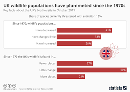 Chart Uk Wildlife Populations Have Plummeted Since The