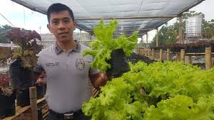 Davao City Jail Is Also Veggie Garden