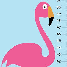 Amazon Com Flamingo Growth Chart Personalized Growth Chart
