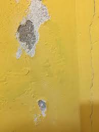 É possível colocar cerâmica em parede de gesso? Reparar Parede Com Salitre E Isolar Com Xps Placa De Gesso Forum Da Casa