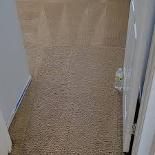 alberto carpet cleaning services 31