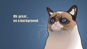 grumpy cat oh great i m a background