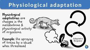 physiological adaptation definition