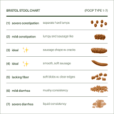 Theres A Decoder For Your Poop Heres How To Read It Seed
