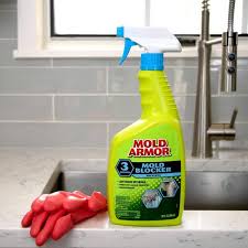 Stain Remover And Mold Blocker Combo
