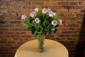 beautiful dozen purple roses in