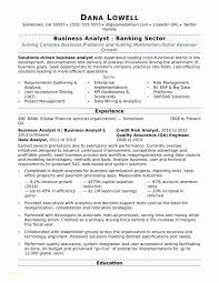 Business Intelligence Analyst Resume Unique Business Intelligence