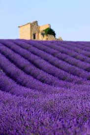 the 15 major cities of provence that