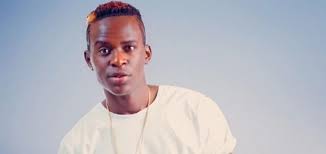 Image result for images of willy paul