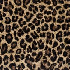 kane carpet angora peruvian tiger