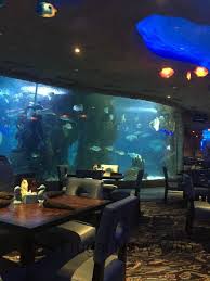 Aquarium Restaurant Nashville, Tennessee – An Underwater Dining Experience  | Nashville vacation, Nashville, Aquarium gambar png