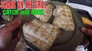 grilled shark catch and cook you