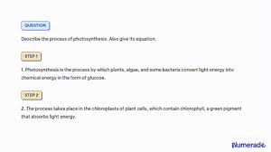 The Equation For Photosynthesis Using