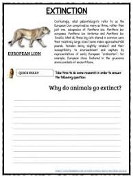 Animal Worksheets   Have Fun Teaching Rainforest Research Projects   Mrs  Koski s First Grade Class Sugar Land   Texas