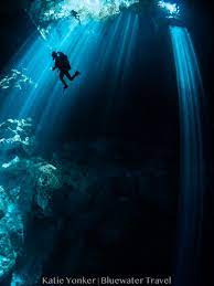 However, some companies have a policy of 14 years old and even more. Best Scuba Diving In Mexico Top 9 Bluewater Dive Travel