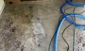 tee carpet cleaning book a