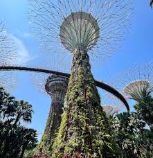 supertree observatory at gardens by the