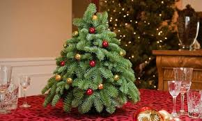 Höchste zeit, die wohnung mit einer besinnlichen, weihnachtlichen dekoration zu schmücken. Das Haus Weihnachtlich Dekorieren Kleinen Christbaum Auf Dem Tisch
