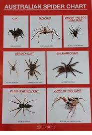 Australian Spider Chart Under The Bog Seat Cunt Cunt Big